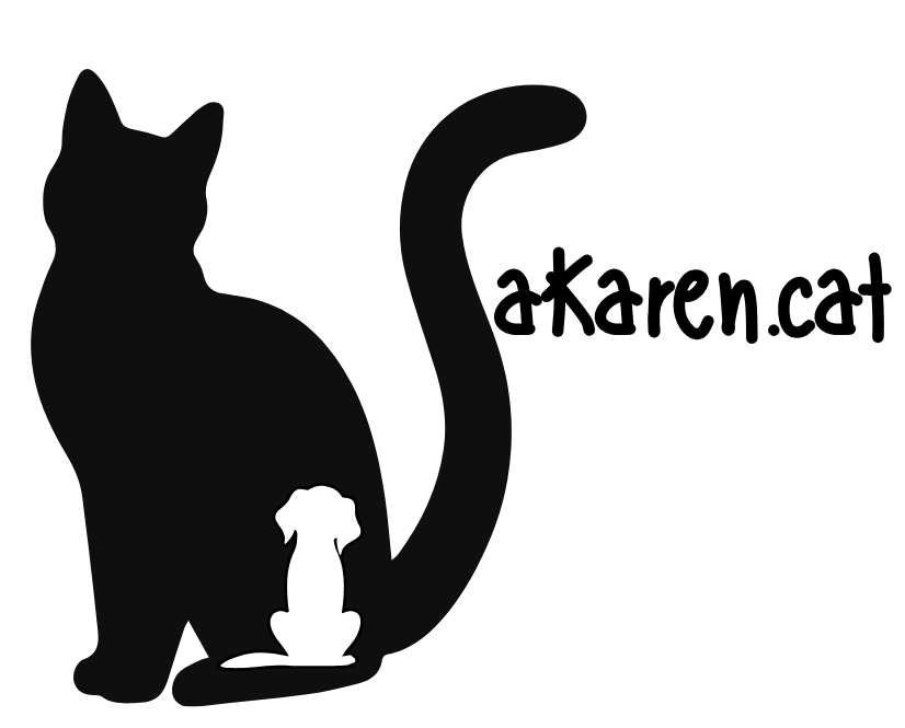 logo lakaren.cat